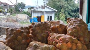 Poktan Bumi Khayangan Sukalarang Dapat Bantuan Sarpras Pasca Panen dari Kementan