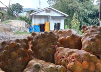 Poktan Bumi Khayangan Sukalarang Dapat Bantuan Sarpras Pasca Panen dari Kementan