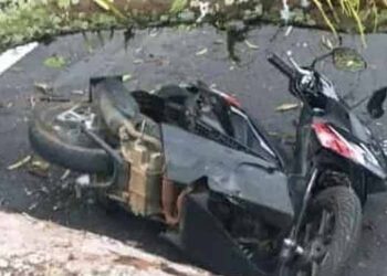 Ngeri! Detik-detik Pohon Karet Tumbang Tewaskan Pemotor di Cikidang