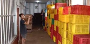 Baru Tiga Bulan Dibangun, Atap Bangsal Bantuan Kementan di Sukalarang Bocor