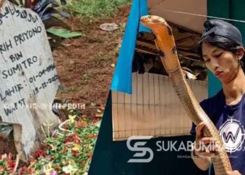 Innalillahi! Dipatuk King Kobra, Alprih Priyono Asisten Panji Petualang Asal Sukabumi Tutup Usia