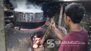 Penyadap di Surade Menjerit! Pohon Kelapa di Tanah Garapan Ditebang Paksa, Diganti Sawit?