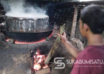 Penyadap di Surade Menjerit! Pohon Kelapa di Tanah Garapan Ditebang Paksa, Diganti Sawit?