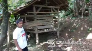 Maling Gasak Sembilan Domba dari Kandang Belakang Rumah di Cisolok, Dua Anakan Ditinggalkan jadi Bangkai