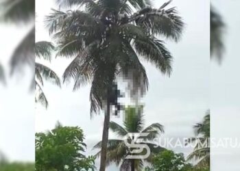 Innalillahi! Warga Tegalbuleud Sukabumi Meninggal Dalam Kondisi Sujud di Atas Pohon Kelapa