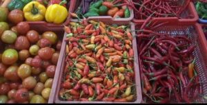 Harga Cabai Dan Bawang di Sukabumi Melambung, Pedagang Mengeluh Sepi Pembeli