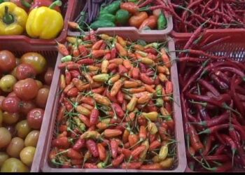 Harga Cabai Dan Bawang di Sukabumi Melambung, Pedagang Mengeluh Sepi Pembeli