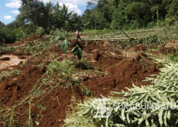 Innalillahi! Longsor Timbun Puluhan Petak Sawah dan Sumber Air Bersih di Nagrak Sukabumi