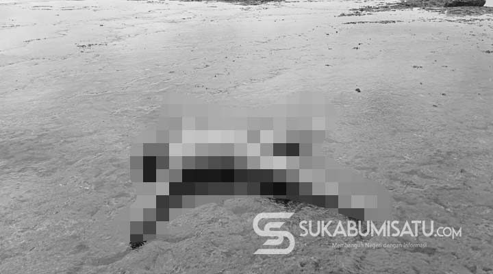 Geger! Sesosok Mayat Terdampar di Pantai Minajaya Sukabumi