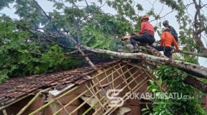 Rumah Rusak Tertimpa Pohon, Cuaca Ekstrem Landa 7 Kecamatan di Kabupaten Sukabumi