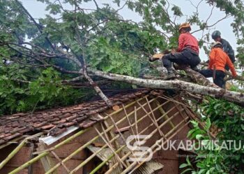 Rumah Rusak Tertimpa Pohon, Cuaca Ekstrem Landa 7 Kecamatan di Kabupaten Sukabumi