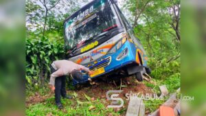 Waduh! Bus Sambo Trayek Palabuhanratu-Bogor Hampir Terjun ke Jurang di Cicurug Sukabumi, Begini Kondisi Penumpang