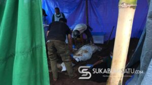 Penyebab Kematian Dinilai Janggal, Makam Wanita di Caringin Sukabumi Dibongkar