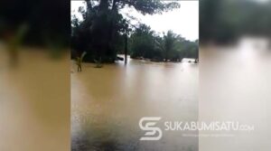 Sungai Ciletuh di Sukabumi Meluap: Banjir Setinggi 1,5 Meter Putus Akses Jalan dan Rendam 150 Hektare Sawah di Mandrajaya
