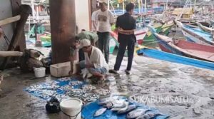 Tangkapan Nelayan Berkurang Gegara Cuaca Buruk, Harga Ikan Laut di Sukabumi Melonjak