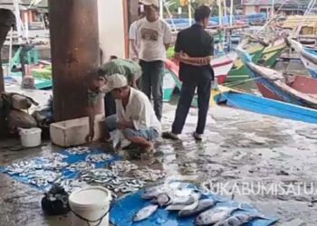 Tangkapan Nelayan Berkurang Gegara Cuaca Buruk, Harga Ikan Laut di Sukabumi Melonjak