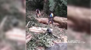 Penebangan Pohon di Objek Wisata Situgunung Bikin Warga Geram