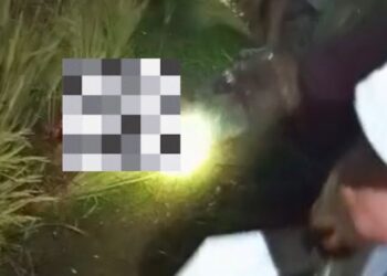 Dikenal Baik, Begini Latar Belakang Pria yang Tewas Dikeroyok Massa di Gegerbitung Sukabumi kata Keluarga