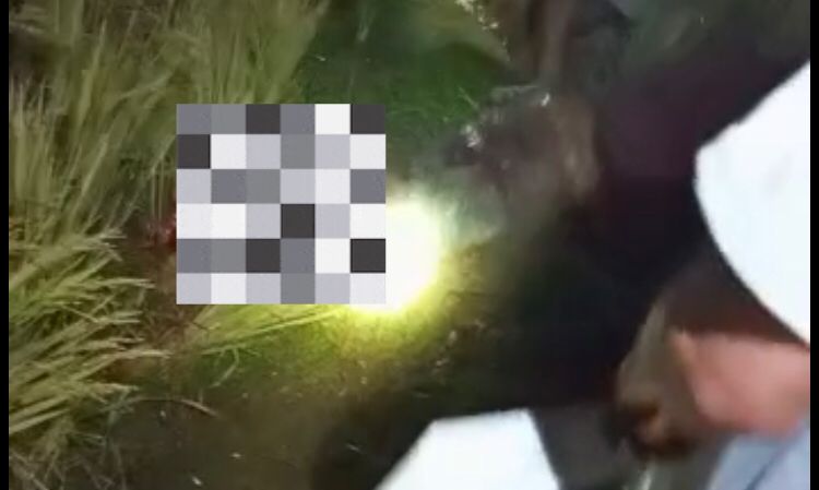 Dikenal Baik, Begini Latar Belakang Pria yang Tewas Dikeroyok Massa di Gegerbitung Sukabumi kata Keluarga