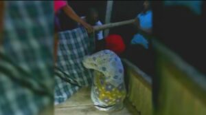 Dramatis! Ibu Hamil Asal Lengkong Sukabumi Terpaksa Ditandu saat Hendak Bersalin di Malam Takbir