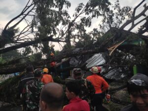 Pohon Tumbang Timpa Rumah di Warungkiara Sukabumi, Lalin Sempat Macet Parah