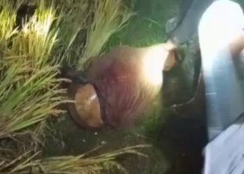 Pengeroyokan di Gegerbitung Diduga Salah Sasaran, Warga Desak Polisi Usut Tuntas