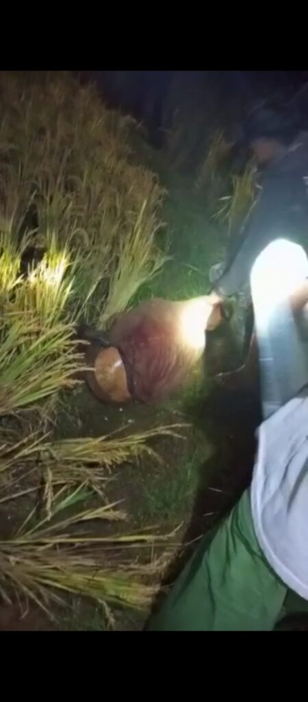 Pengeroyokan di Gegerbitung Diduga Salah Sasaran, Warga Desak Polisi Usut Tuntas