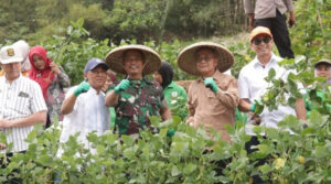 Wabup Iyos Apresiasi Panen Raya Edamame, Sebut Sinergitas yang Menguntungkan dan Menyejahterakan
