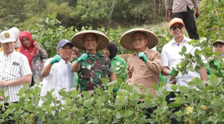 Wabup Iyos Apresiasi Panen Raya Edamame, Sebut Sinergitas yang Menguntungkan dan Menyejahterakan