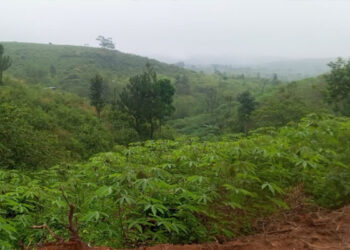 Jadi Objek Reforma Agraria, Eks HGU PT Naga Warna Diakuisisi Investor Baru