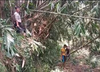 Dua Orang jadi Korban, Longsor Putus Akses Jalan Desa di Nagrak Sukabumi