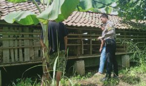 Waduh! Sembilan Ekor Kambing Milik Habib Agus Raib Digondol Maling di Parungkuda Sukabumi