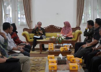 Sekda Ade Hadiri Rakor Dukungan Pemerintah Implementasi SSK Program PPSP