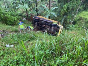 Dua Tewas, Truk Pengangkut Ternak Terjun ke Jurang di Cicurug Sukabumi