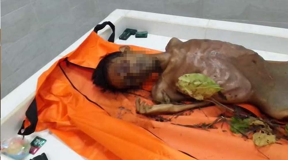 Geger Penemuan Mayat Pria di Perkebunan Asabaland Ciracap Sukabumi, Begini Ciri-cirinya!