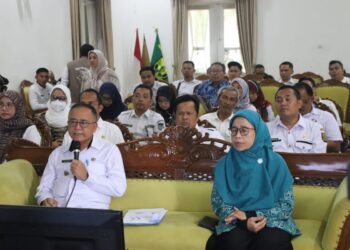 Wakil Bupati Iyos Somantri: Percepatan Penurunan Stunting Menjadi Salah Satu Program Prioritas Di Kabupaten Sukabumi
