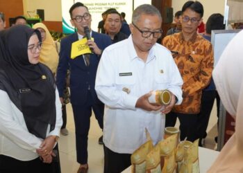 Ada Diskon Biaya Pengiriman, Toko Kami jadi Wadah Pemasaran Digital UMKM Sukabumi