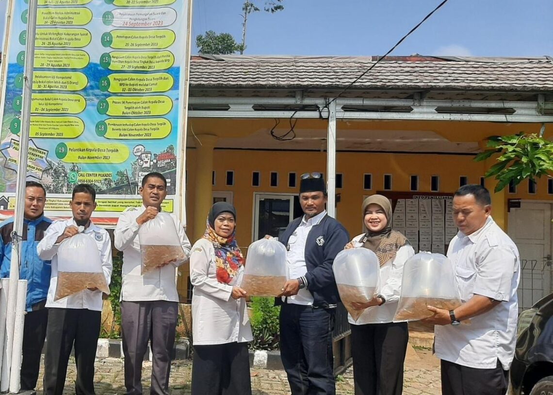 3000 Ekor Ikan Nilem Dilepas Liar Dinas Perikanan Sukabumi di Sungai Cibening Purabaya