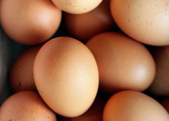 Penderita Anemia Wajib Baca, Benarkah Telur Ayam Juga Dapat Meningkatkan Kadar Hemoglobin?