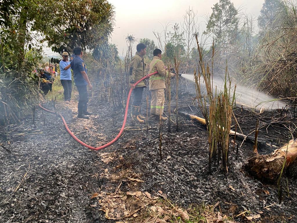 Gara-gara Sampah, Lahan Seluas 1.000 Meter Persegi Terbakar di Nagrak Sukabumi