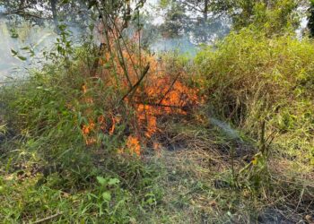 BPBD Pastikan Kebakaran Gunung Walat Sukabumi Sudah Terkendali