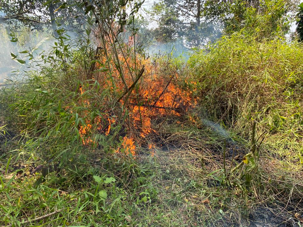 BPBD Pastikan Kebakaran Gunung Walat Sukabumi Sudah Terkendali