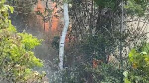 Kebakaran Landa 10 Hektare Lahan Lereng Gunung Walat Sukabumi