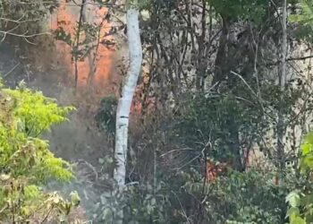 Kebakaran Landa 10 Hektare Lahan Lereng Gunung Walat Sukabumi