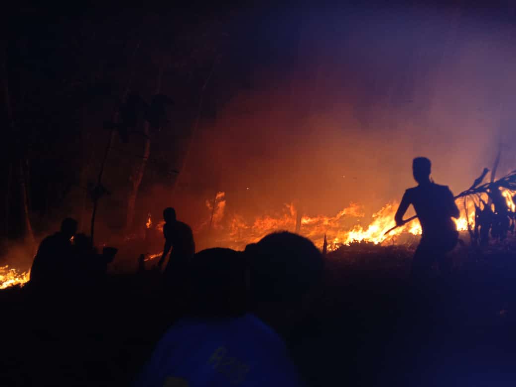 Lereng Hutan Gunung Walat Sukabumi Kembali Terbakar, Lahan Satu Hektare Ludes
