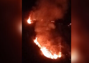 Kawasan Hutan dekat TN Gunung Halimun Salak di Sukabumi Terbakar
