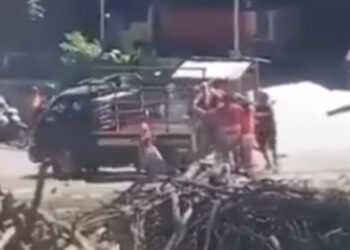 Viral Adat Kawin Tangkap Sumba, Tradisi Leluhur yang Banyak Dikecam