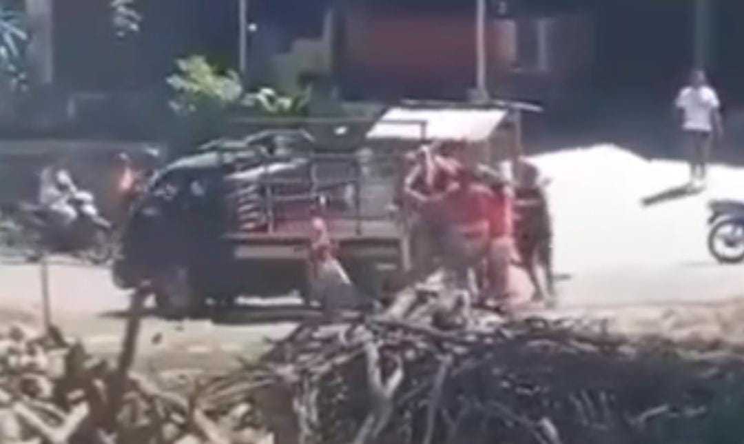 Viral Adat Kawin Tangkap Sumba, Tradisi Leluhur yang Banyak Dikecam