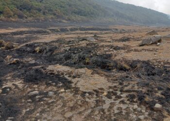 Dampak Kebakaran di Gunung Gede Pangrango, Lahan Seluas 3 Hektare Hangus