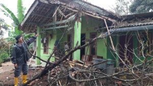Satu Rumah Rusak, Hujan Disertai Angin Kencang Picu Pohon Tumbang di Nagrak